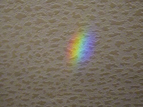 世界が平和になりますように　あなたが幸せでありますように