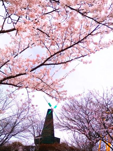 重い病のときは　天に命を預ける日かも知れません