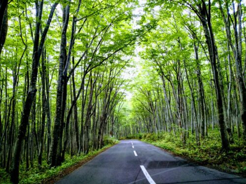 家庭内の親和が　心穏やかな人生の始まりです
