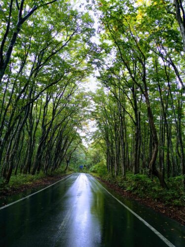 世界が平和になりますように　あなたが幸せでありますように