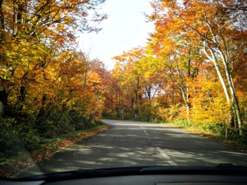 友という言葉の考察